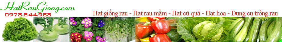 Quảng cáo menu dưới tapchithue